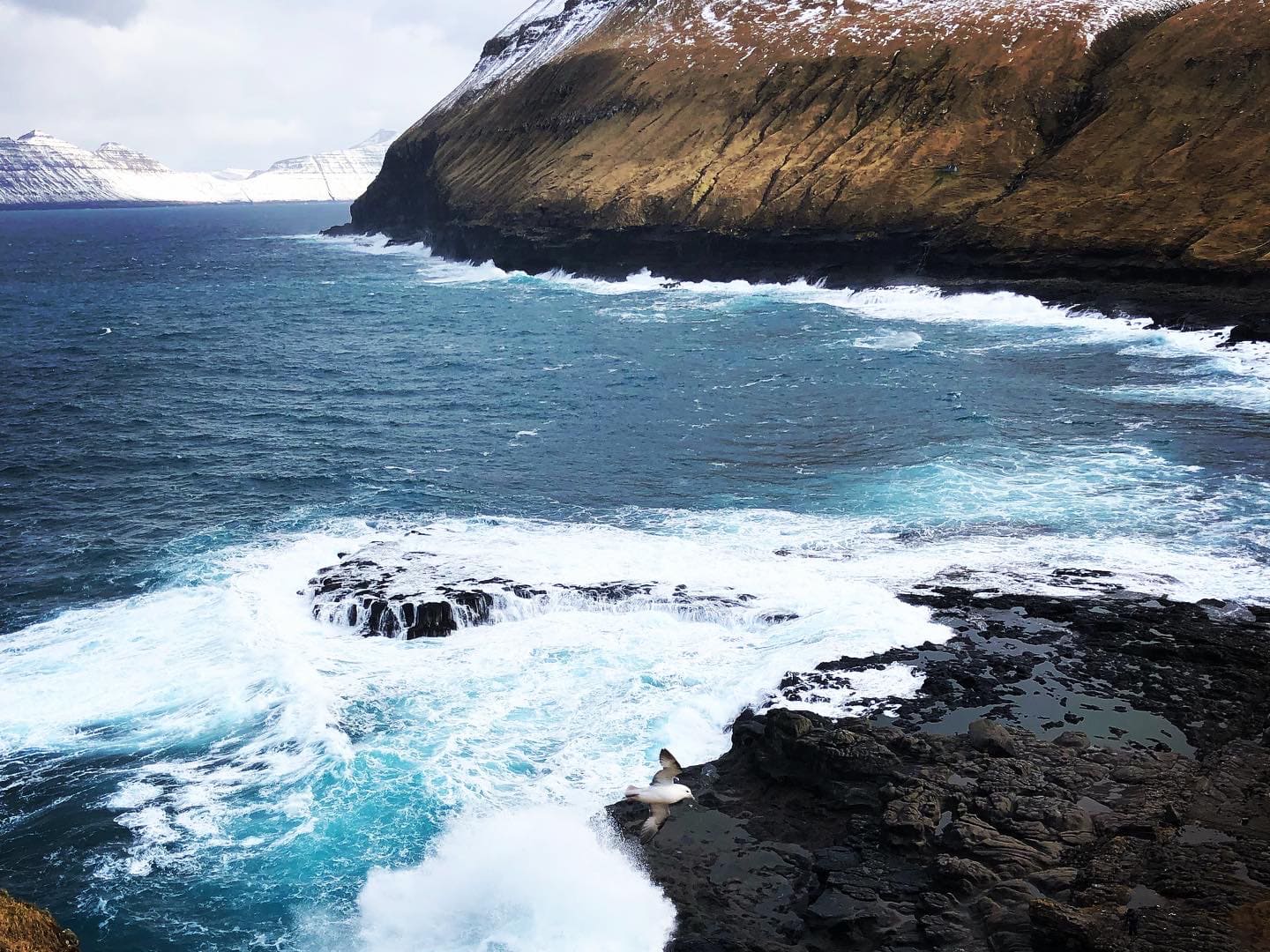 faroes-gallery3